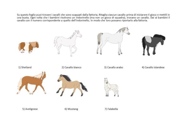 I cavalli scappati - immagine 2